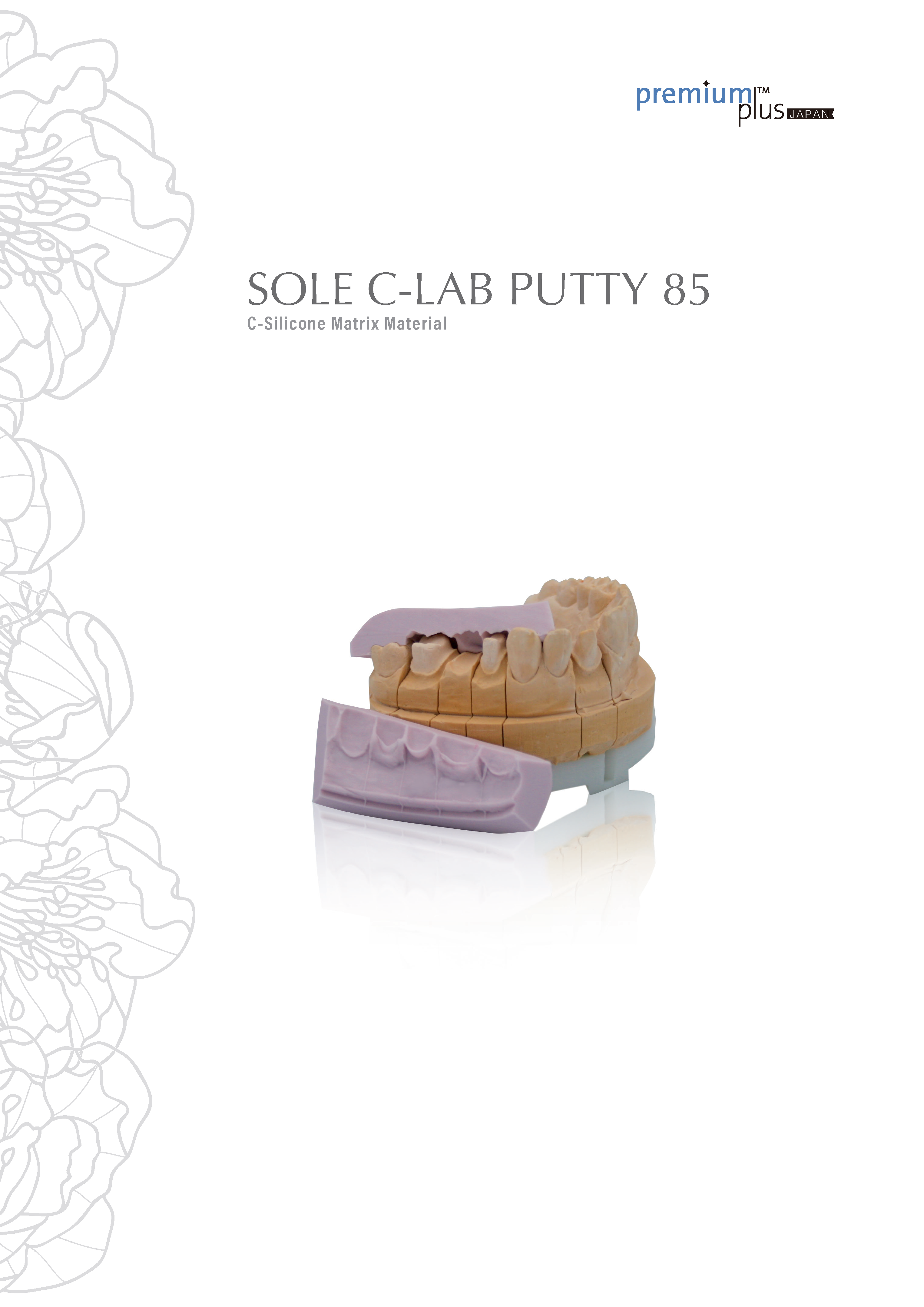 Premium Plus Japan Sole C Flyer